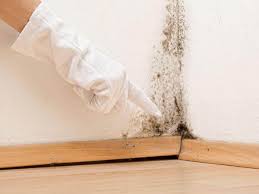 Mold Documentation for Insurance Claims in Independence, IA